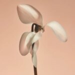 Missing Person - Fragrance Duet - Image 4