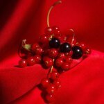 Currant Crush - Candle - Image 4