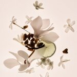 Second Skin Duo - Perfume & Body Mist Set - Image 6