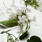 Heavy Cream - Body Mist - Image 4