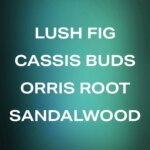 Father Figure - Deodorant - Image 5